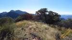 photo thumbnail #4