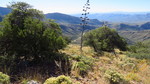 photo thumbnail #15