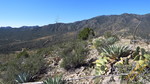 photo thumbnail #6