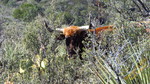 photo thumbnail #12