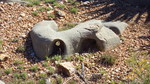 photo thumbnail #14