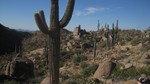 photo thumbnail #4
