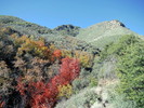 photo thumbnail #2