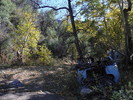 photo thumbnail #6