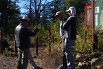 photo thumbnail #4
