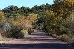 photo thumbnail #8