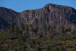 photo thumbnail #14