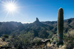 photo thumbnail #5