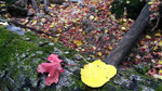 photo thumbnail #14
