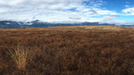 2015-11-14 :2: Bassett Peak :: chumley