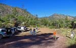 2015-11-14 :: For GPSjoe - 5 yr Anniversary at Mt. Peeley TH :: Grasshopper