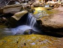 photo thumbnail #6
