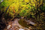 photo thumbnail #8