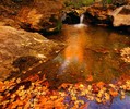 photo thumbnail #10