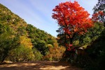 photo thumbnail #11