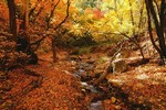 photo thumbnail #12