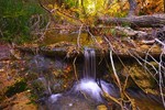 photo thumbnail #14