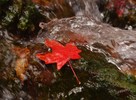 photo thumbnail #15