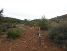 photo thumbnail #3