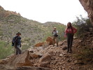 photo thumbnail #3
