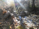 photo thumbnail #1