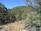 photo thumbnail #3