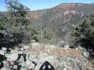 photo thumbnail #8