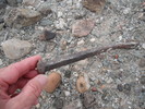 photo thumbnail #11