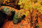photo thumbnail #5