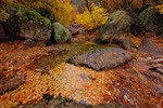 photo thumbnail #9