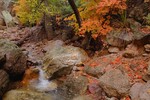 photo thumbnail #12