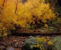 photo thumbnail #15