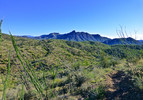 photo thumbnail #6
