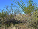 photo thumbnail #9