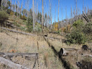 photo thumbnail #7