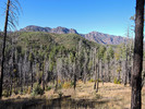 photo thumbnail #10