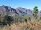 photo thumbnail #11