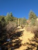 photo thumbnail #3