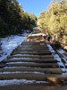 photo thumbnail #10