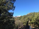 photo thumbnail #12