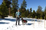 photo thumbnail #2