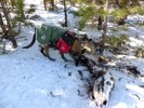 photo thumbnail #3
