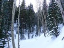 photo thumbnail #14