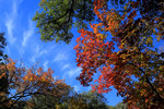 photo thumbnail #15