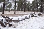 photo thumbnail #5
