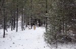 photo thumbnail #10
