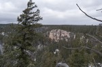 photo thumbnail #11