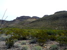 photo thumbnail #14