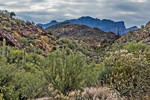 photo thumbnail #15