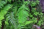 2015-11-15 :2: Pickaxe Canyon :: GrottoGirl